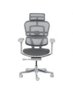 Ергономичен стол  ⋙ на цена от 1389.60лв  - Allegro-bg.com 2