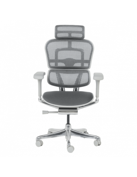 Ергономичен стол  ⋙ на цена от 1389.60лв  - Allegro-bg.com