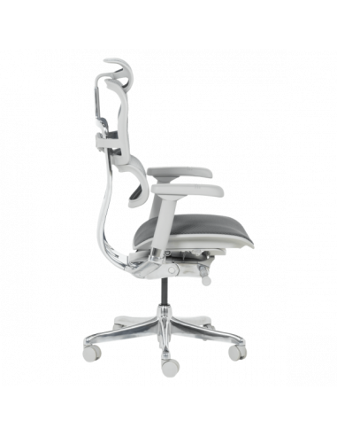 Ергономичен стол  ⋙ на цена от 1389.60лв  - Allegro-bg.com