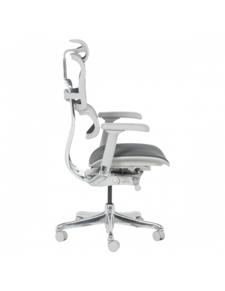 Ергономичен стол  ⋙ на цена от 1389.60лв  - Allegro-bg.com