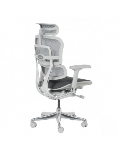 Ергономичен стол  ⋙ на цена от 1389.60лв  - Allegro-bg.com