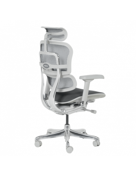 Ергономичен стол  ⋙ на цена от 1389.60лв  - Allegro-bg.com