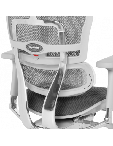 Ергономичен стол  ⋙ на цена от 1389.60лв  - Allegro-bg.com