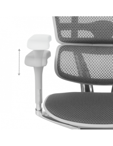 Ергономичен стол  ⋙ на цена от 1389.60лв  - Allegro-bg.com