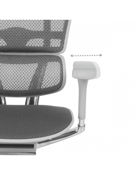 Ергономичен стол  ⋙ на цена от 1389.60лв  - Allegro-bg.com