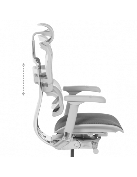 Ергономичен стол  ⋙ на цена от 1389.60лв  - Allegro-bg.com