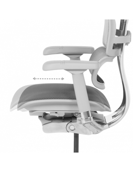 Ергономичен стол  ⋙ на цена от 1389.60лв  - Allegro-bg.com