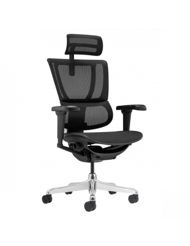 Ергономичен стол  ⋙ на цена от 1098.00лв  - Allegro-bg.com