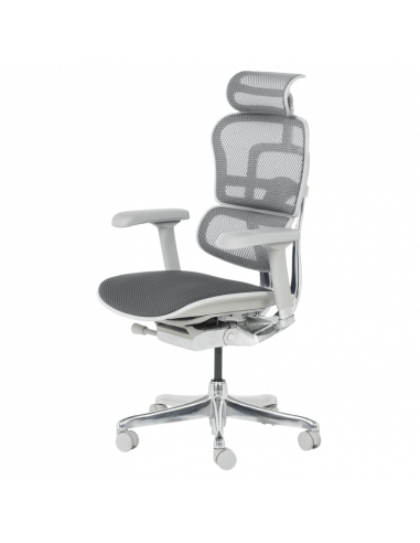 Ергономичен стол  ⋙ на цена от 1389.60лв  - Allegro-bg.com