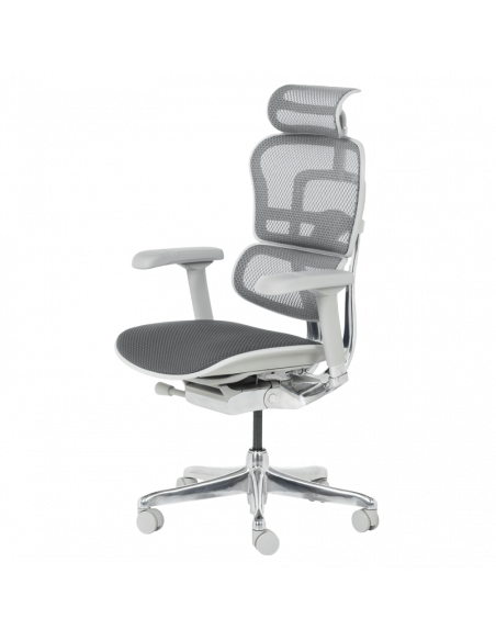 Ергономичен стол  ⋙ на цена от 1389.60лв  - Allegro-bg.com