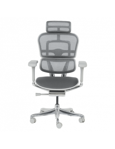 Ергономичен стол  ⋙ на цена от 1389.60лв  - Allegro-bg.com