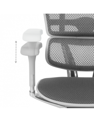 Ергономичен стол  ⋙ на цена от 1389.60лв  - Allegro-bg.com