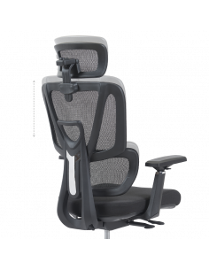 Ерогноми ⋙ на цена от 235.20лв  - Allegro-bg.com 2