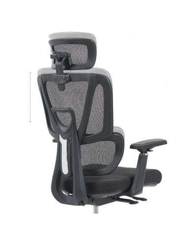 Ерогноми ⋙ на цена от 235.20лв  - Allegro-bg.com