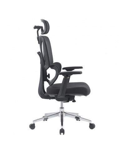 Ерогноми ⋙ на цена от 235.20лв  - Allegro-bg.com