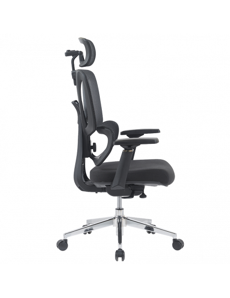 Ерогноми ⋙ на цена от 235.20лв  - Allegro-bg.com