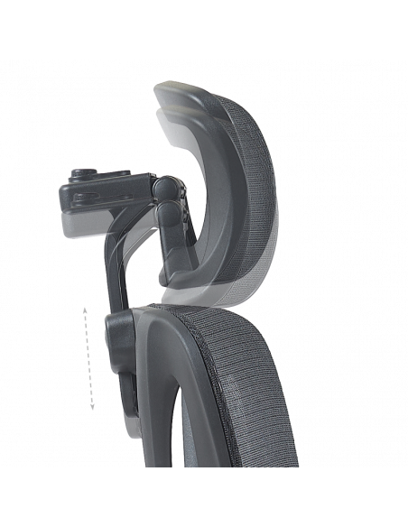 Ерогноми ⋙ на цена от 235.20лв  - Allegro-bg.com