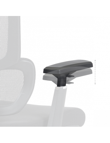 Ерогноми ⋙ на цена от 235.20лв  - Allegro-bg.com