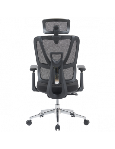 Ерогноми ⋙ на цена от 235.20лв  - Allegro-bg.com