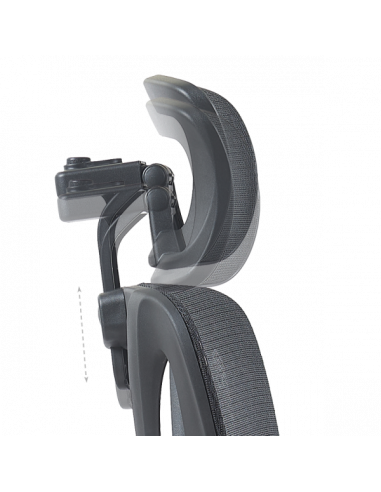 Ерогноми ⋙ на цена от 235.20лв  - Allegro-bg.com