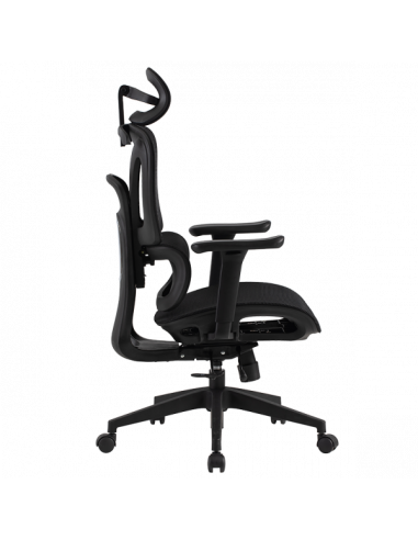 Ергономичен стол Carmen  ⋙ на цена от 217.20лв  - Allegro-bg.com