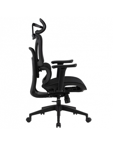 Ергономичен стол Carmen  ⋙ на цена от 217.20лв  - Allegro-bg.com