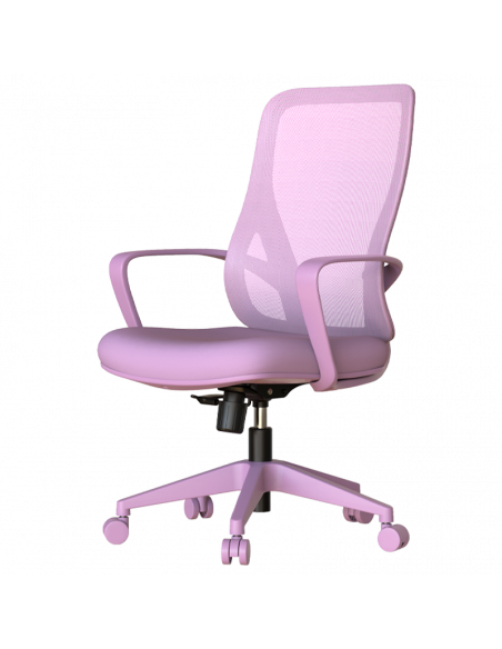 Работен стол BARDA -  ⋙ на цена от 118.80лв  - Allegro-bg.com