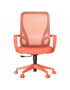 Работен стол BARDA -  ⋙ на цена от 118.80лв  - Allegro-bg.com 2