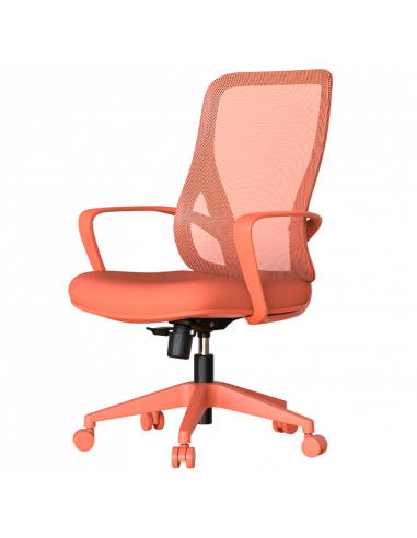 Работен стол BARDA -  ⋙ на цена от 118.80лв  - Allegro-bg.com