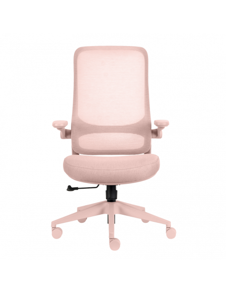 Ергономичен  ⋙ на цена от 210.00лв  - Allegro-bg.com