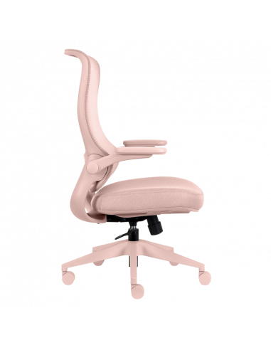 Ергономичен  ⋙ на цена от 210.00лв  - Allegro-bg.com