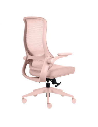 Ергономичен  ⋙ на цена от 210.00лв  - Allegro-bg.com