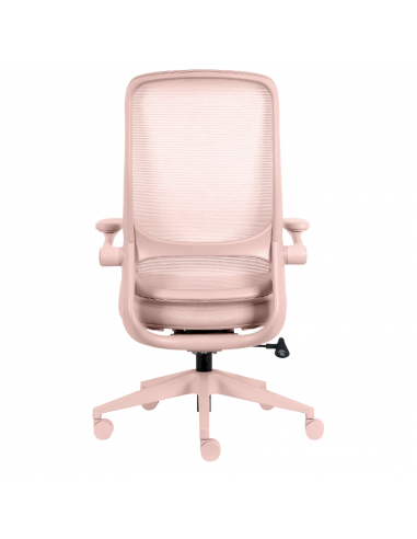 Ергономичен  ⋙ на цена от 210.00лв  - Allegro-bg.com