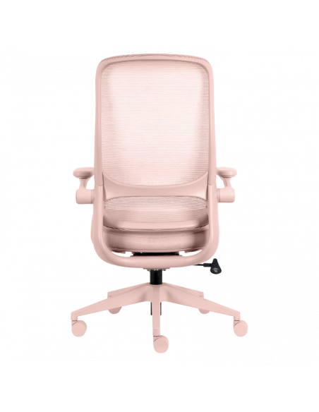 Ергономичен  ⋙ на цена от 210.00лв  - Allegro-bg.com