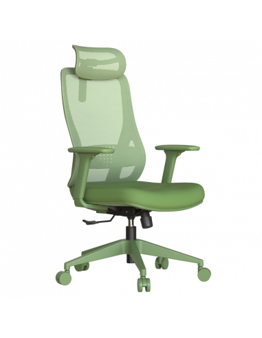 Ергономичен стол MASALI  ⋙ на цена от 186.00лв  - Allegro-bg.com