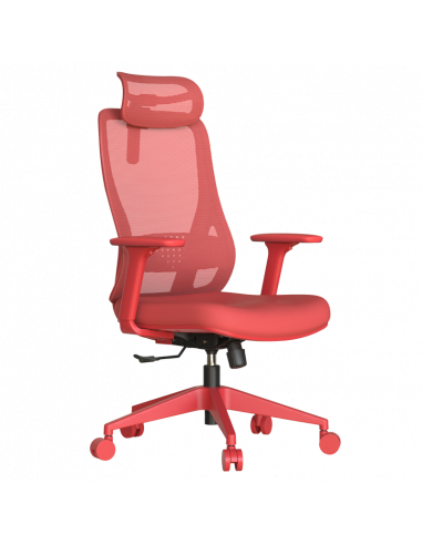 Ергономичен стол MASALI  ⋙ на цена от 186.00лв  - Allegro-bg.com