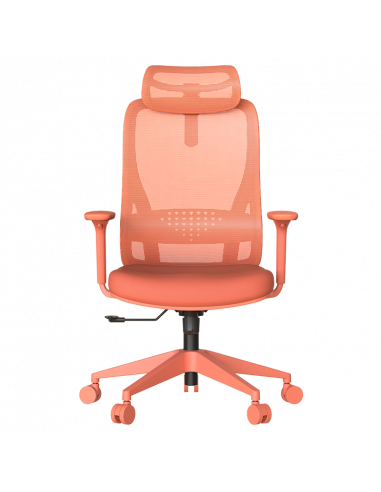 Ергономичен стол MASALI  ⋙ на цена от 186.00лв  - Allegro-bg.com