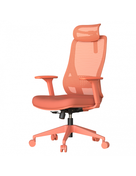 Ергономичен стол MASALI  ⋙ на цена от 186.00лв  - Allegro-bg.com