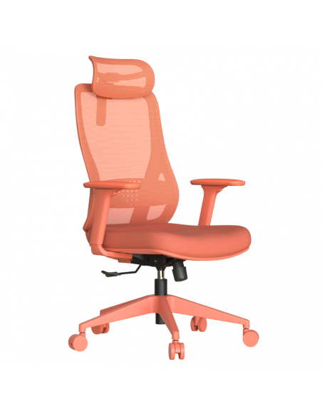 Ергономичен стол MASALI  ⋙ на цена от 186.00лв  - Allegro-bg.com