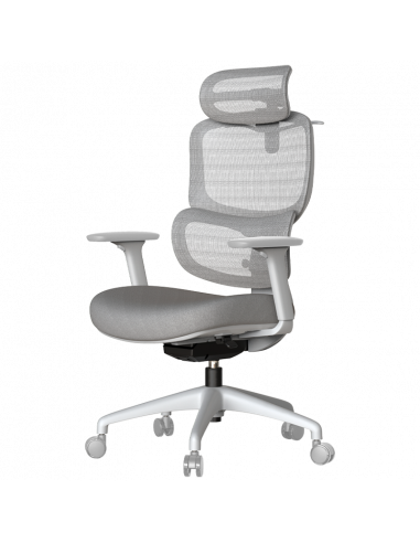 Ергономичен стол ZARDAB  ⋙ на цена от 265.20лв  - Allegro-bg.com