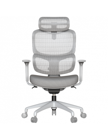 Ергономичен стол ZARDAB  ⋙ на цена от 265.20лв  - Allegro-bg.com