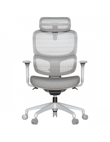 Ергономичен стол ZARDAB  ⋙ на цена от 265.20лв  - Allegro-bg.com