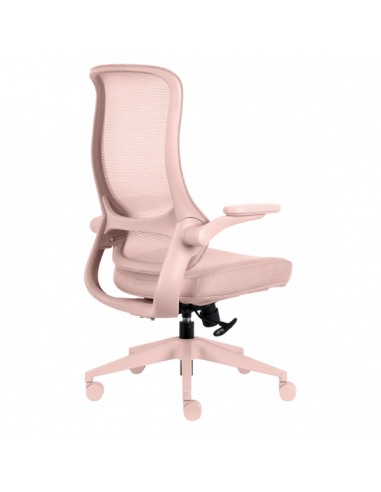 Ергономичен  ⋙ на цена от 210.00лв  - Allegro-bg.com