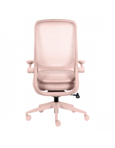 Ергономичен  ⋙ на цена от 210.00лв  - Allegro-bg.com