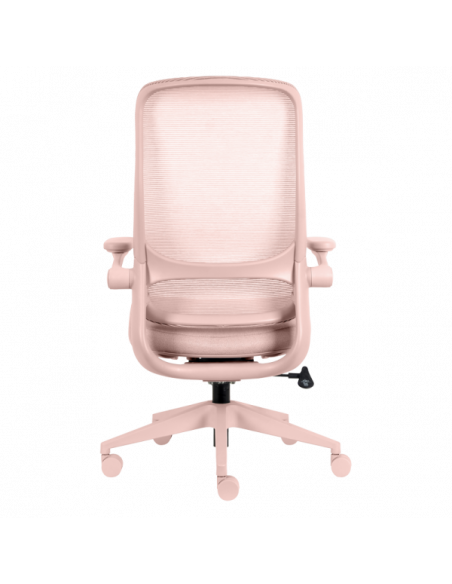 Ергономичен  ⋙ на цена от 210.00лв  - Allegro-bg.com