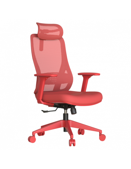 Ергономичен стол MASALI  ⋙ на цена от 186.00лв  - Allegro-bg.com