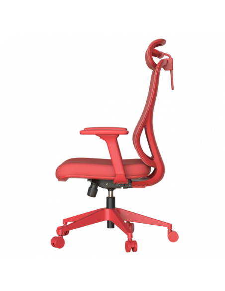 Ергономичен стол MASALI  ⋙ на цена от 186.00лв  - Allegro-bg.com