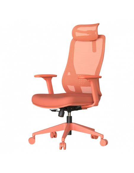 Ергономичен стол MASALI  ⋙ на цена от 186.00лв  - Allegro-bg.com