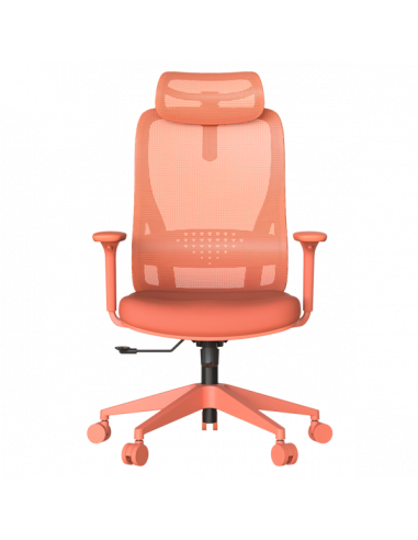 Ергономичен стол MASALI  ⋙ на цена от 186.00лв  - Allegro-bg.com