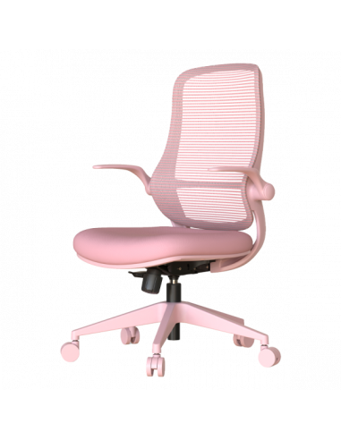 Ергономичен стол ASTARA  ⋙ на цена от 139.20лв  - Allegro-bg.com